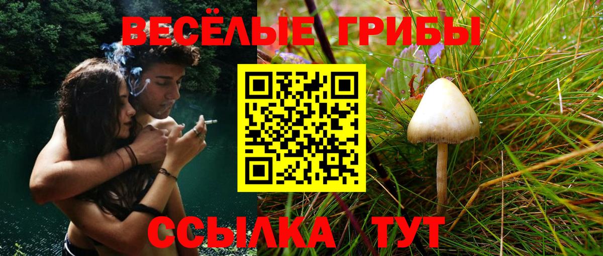 Псилоцибиновые грибы мицелий Гулькевичи